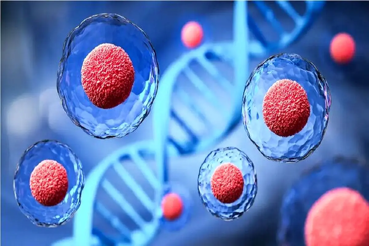 کشف ژن شگفت‌انگیزی که اندازه سلول‌ها را کنترل می‌کند؛ کلید جدیدی برای درمان بیماری‌ها