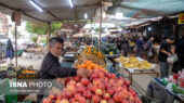 راهکار طلایی سرپرست جهاد کشاورزی فارس برای جلوگیری از کمبود کالا در آستانه مناسبت‌ها