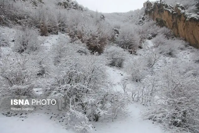 قزوین در انتظار بارش‌های برفی و بارانی؛ آیا کولاک برف می‌وزد؟