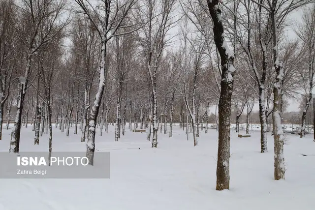 بارش برف در بام ایران؛ تسکینی موقتی بر زخم‌های عمیق خشکسالی!