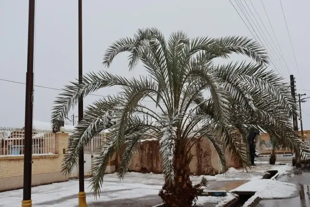 بارش برف و باران در نوار شرقی ایران؛ هشدار رعدوبرق در خلیج فارس!