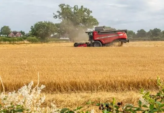 افزایش دی‌اکسید کربن در هوا، ارزش غذایی خوراکی‌ها را تا چه حد تهدید می‌کند؟