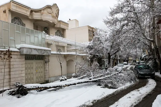 جمع‌آوری حدود ۲۰ اصله درخت شکسته در پی طوفان برف شب گذشته مشهد