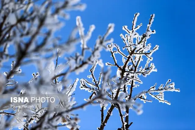 هشدار یخبندان بی‌سابقه در البرز؛ دما به منفی ۱۳ درجه رسید!