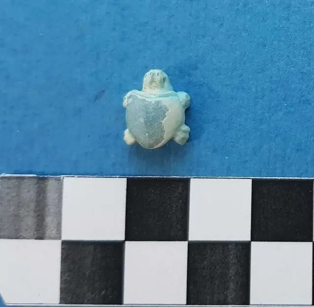 ثبت ۳ اثر تاریخی دوره اشکانی و ساسانی از املش در فهرست آثار ملی