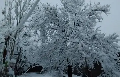 تصاویر زیبای برف در شمال استان کرمان