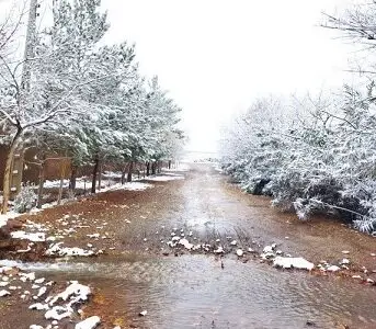 تصاویر زیبای برف در شمال استان کرمان