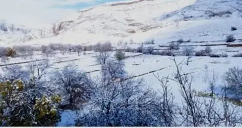 تصاویر زیبای برف در شمال استان کرمان