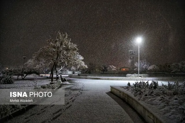 قطع برق در محدوده خیابان آزادی تا استقلال مشهد به دلیل سقوط درخت