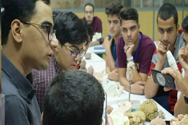 دوازدهمین دوره مسابقات «دانش مغز» آغاز شد؛ نوجوانان ایرانی در چالش شناخت شگفتی‌های مغز