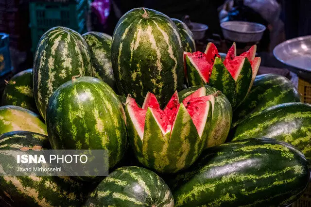 یلدا در گلستان؛ شبی با طعم مارمرده، صدای قصه و هیجان بازی‌های قدیمی