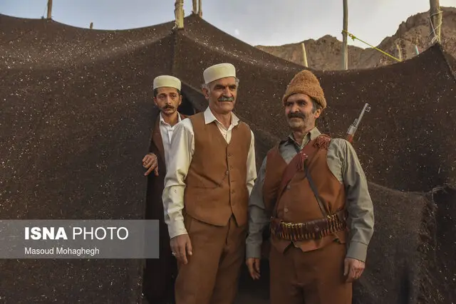 یلدای سنگسری‌ها از مهمانی هفت خورش در اولین یلدای نامزدی تا گره‌گشایی از گرفتاری فامیل