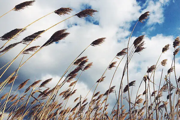 آذربایجان‌غربی آماده وزش باد و افزایش ابر در روزهای آینده شود!