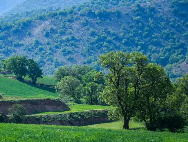 سپیدان؛ نگین سبز فارس در آستانه جهش بزرگ اقتصادی و گردشگری!