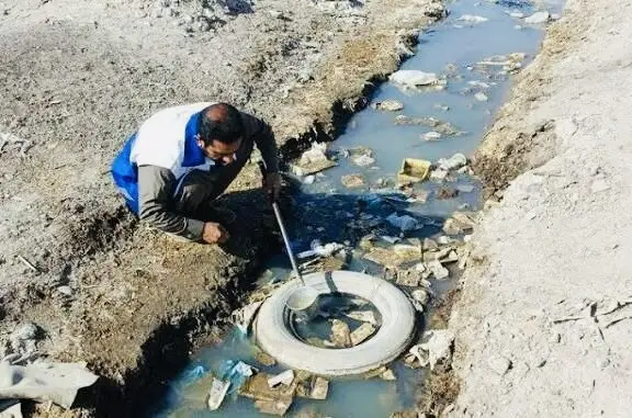 پس از بارندگی‌ها؛ ضرورت کنترل زیست پشه ناقل تب دنگی
