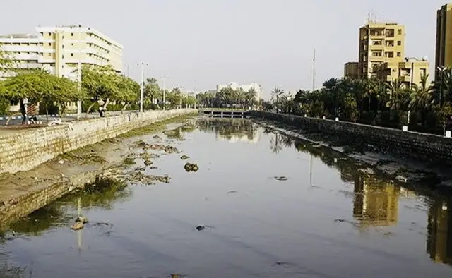 پس از بارندگی‌ها؛ ضرورت کنترل زیست پشه ناقل تب دنگی