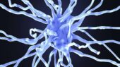 دارویی نوظهور که روند آلزایمر را در مراحل اولیه متوقف می‌کند!
