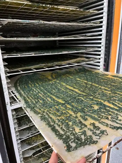 صنعت نوظهور که می‌تواند امنیت غذایی کشور را تضمین کند