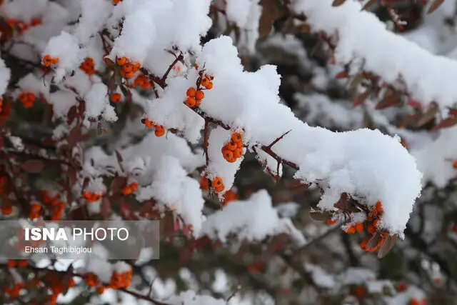 هوای سرد قطبی چطور ایران را می‌لرزاند؟ تهران کی سفیدپوش می‌شود؟