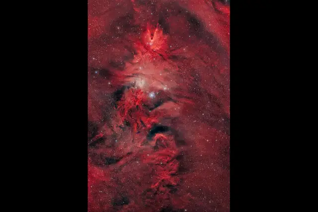 آسمان تک‌شاخ درخشان شد؛ راز سحابی‌های قرمزرنگ و درخت کریسمس کیهانی فاش شد!