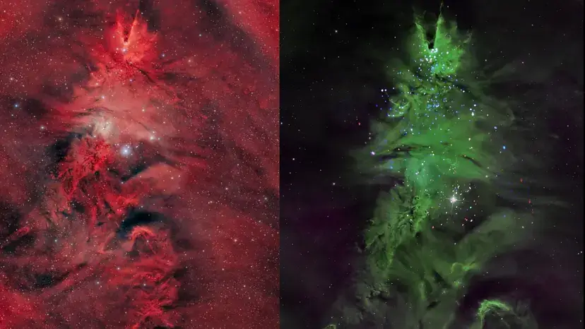 درخشش درخت کریسمس در دل فضا