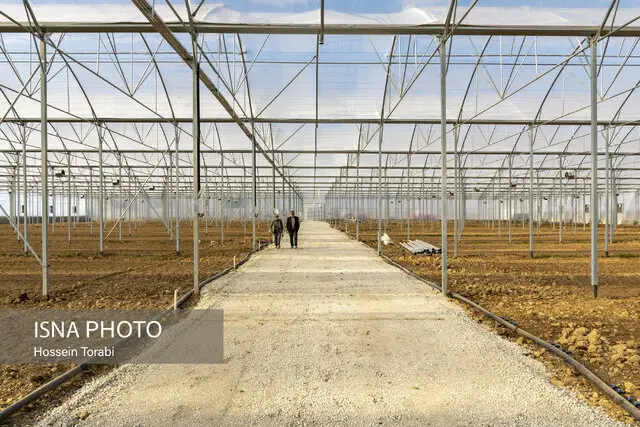 واگذاری ۸ مجتمع کشاورزی در چهارمحال و بختیاری؛ گام بزرگ برای شکوفایی تولید و اشتغال