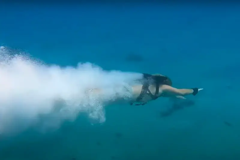 برجسته‌ترین تقلیدهای دنیای علم و فناوری از طبیعت در سال ۲۰۲۵