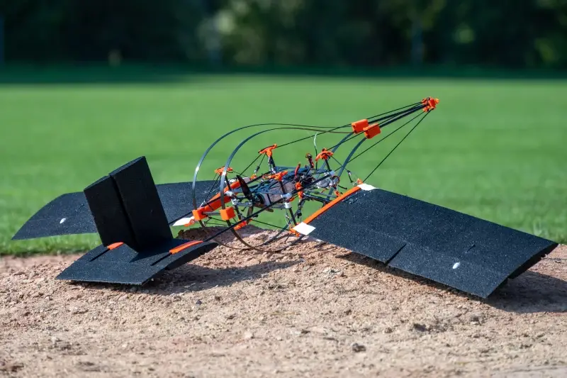 برجسته‌ترین تقلیدهای دنیای علم و فناوری از طبیعت در سال ۲۰۲۵