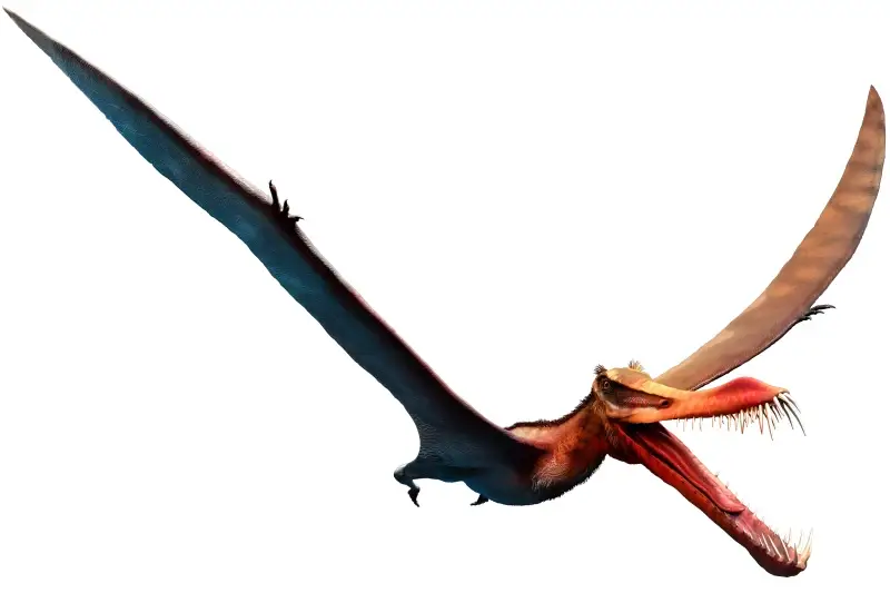 برجسته‌ترین تقلیدهای دنیای علم و فناوری از طبیعت در سال ۲۰۲۵