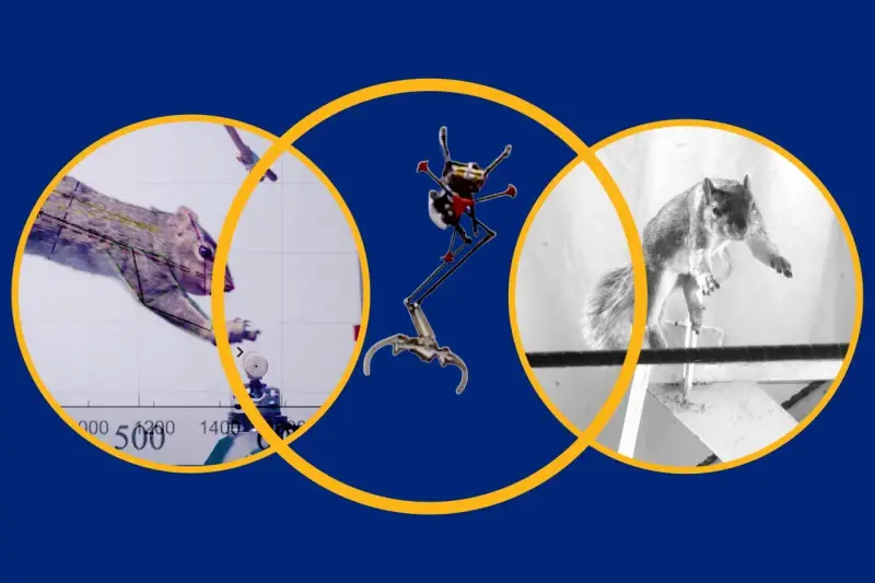 برجسته‌ترین تقلیدهای دنیای علم و فناوری از طبیعت در سال ۲۰۲۵