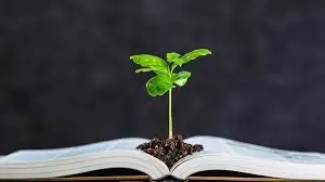 علل و تاثیرات تغییرات اقلیمی بر آموزش