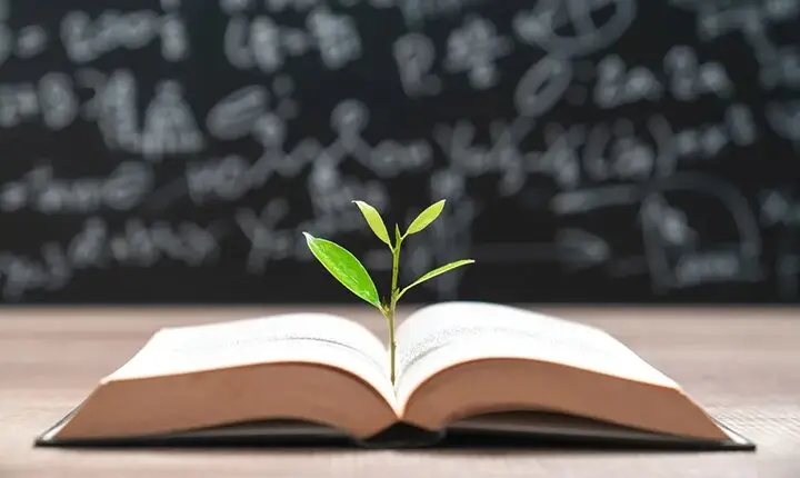 چگونه تغییرات اقلیمی آینده آموزش را به خطر می‌اندازد؟