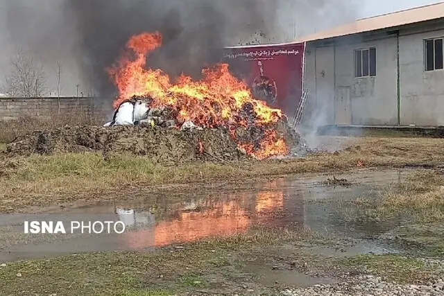 امحای حیرت‌انگیز بیش از یک تن مواد مخدر در گیلان؛ پلیس در خط مقدم مبارزه!