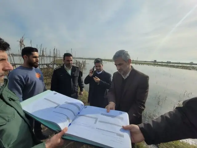 فرمان قاطع برای توقف شکار غیرمجاز پرندگان مهاجر در تالاب وزرا محله