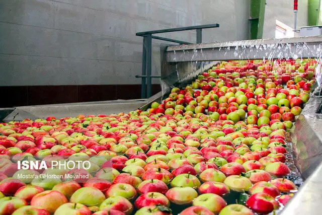 پرداخت تسهیلات رونق تولید به ۱۰۰ طرح کشاورزی گیلان