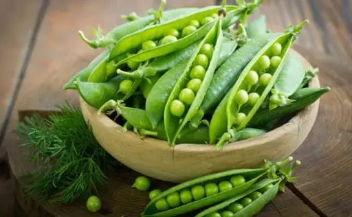 افزایش تولید نخود سبز در شهرستان سرباز