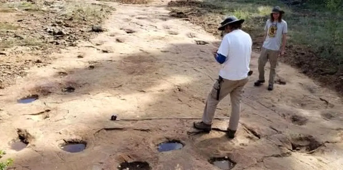 کشف دایناسور ۱۵۰ میلیونساله