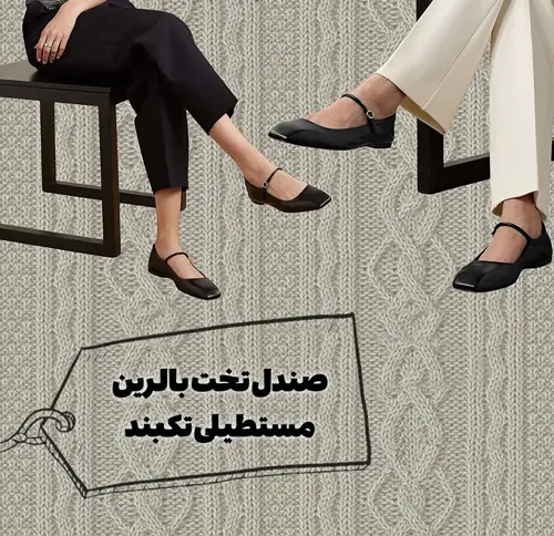 کفشهای همیشگی