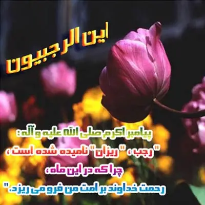 عکس ماه رجب عکس ماه رجب