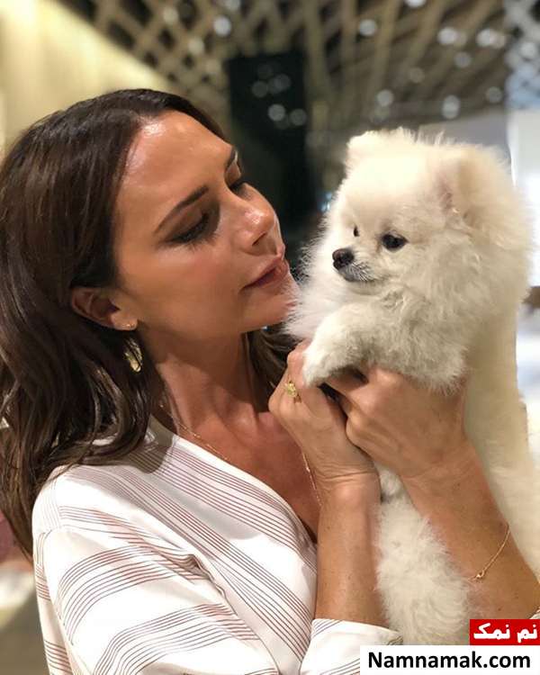 زندگینامه ویکتوریا بکام و همسرش تیپ متفاوت ویکتوریا بکام