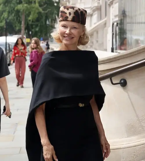 محبوبیت کلاه پیل‌باکس