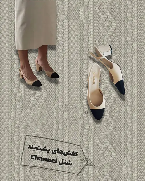 کفشهای همیشگی