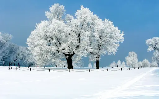 شعر زیبا درباره زمستان - گلچین شعر درباره زمستان - اشعار زمستان