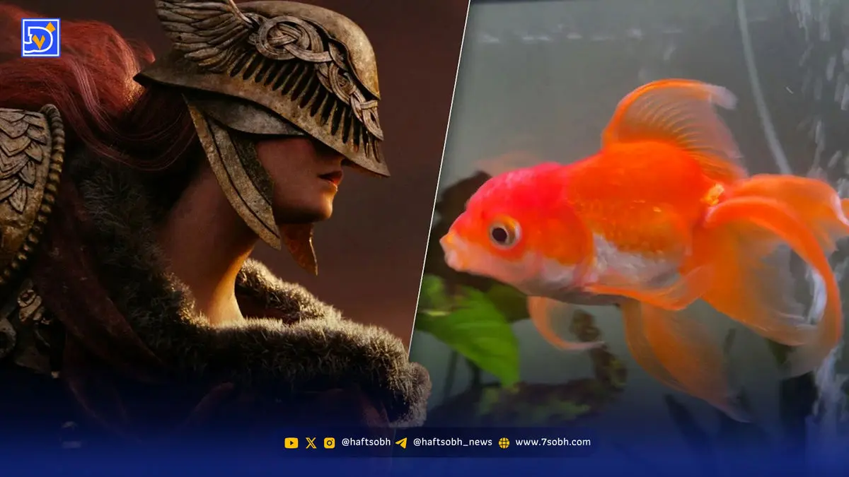 وداع تلخ با تورتلینی؛ ماهی قرمزی که باس‌های Elden Ring را حیرت‌زده کرد!