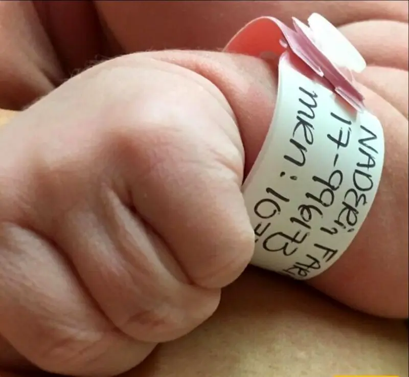 فریبا نادری