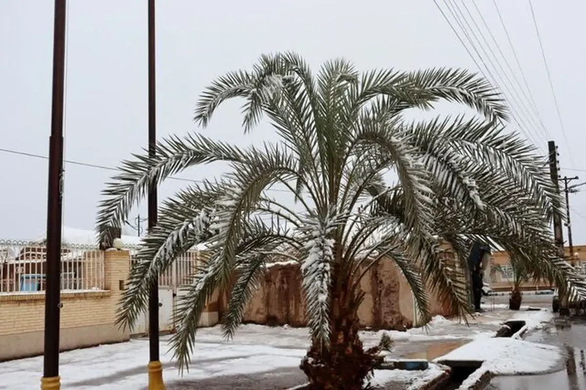 کدام استان‌های شرقی کشور امروز زیر بارش برف و رعدوبرق می‌روند؟