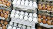 بازار از اتحادیه جلو زد؛ تخم مرغ ۳۰۰ هزار تومانی