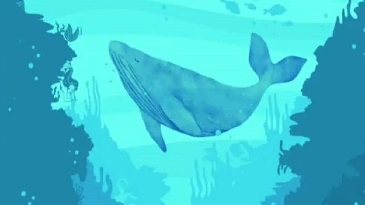 تست بینایی یافتن پری دریایی ها در اقیانوس