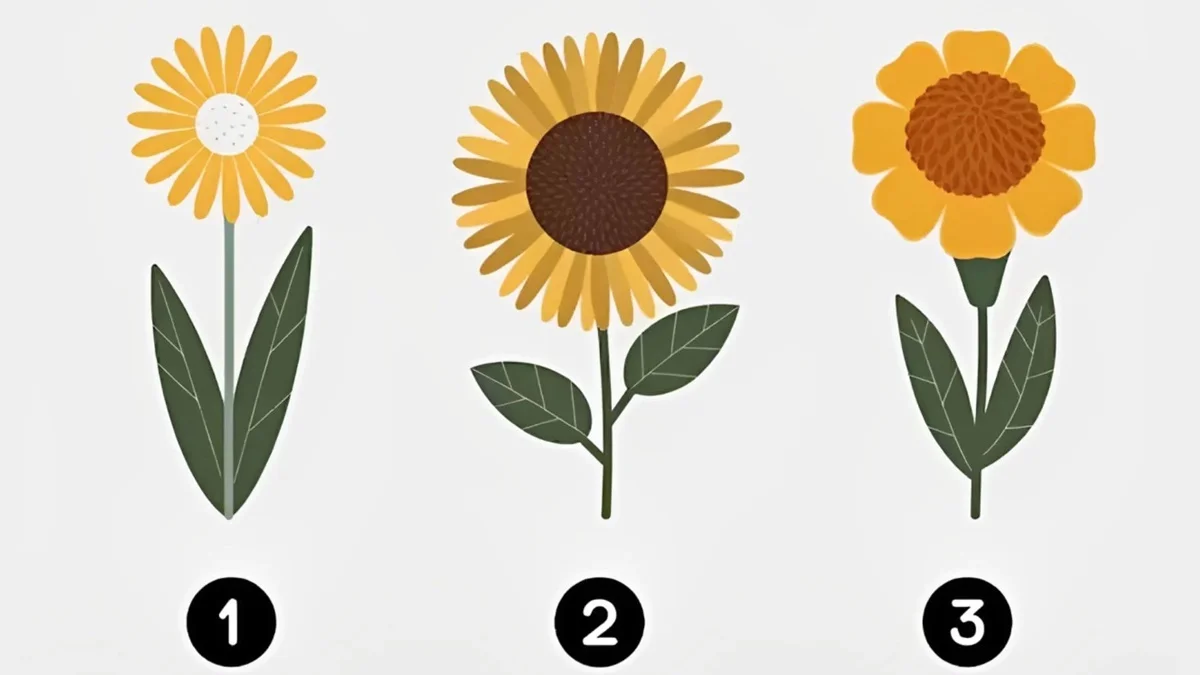 تست شخصیت میزان ماجراجویی فرد