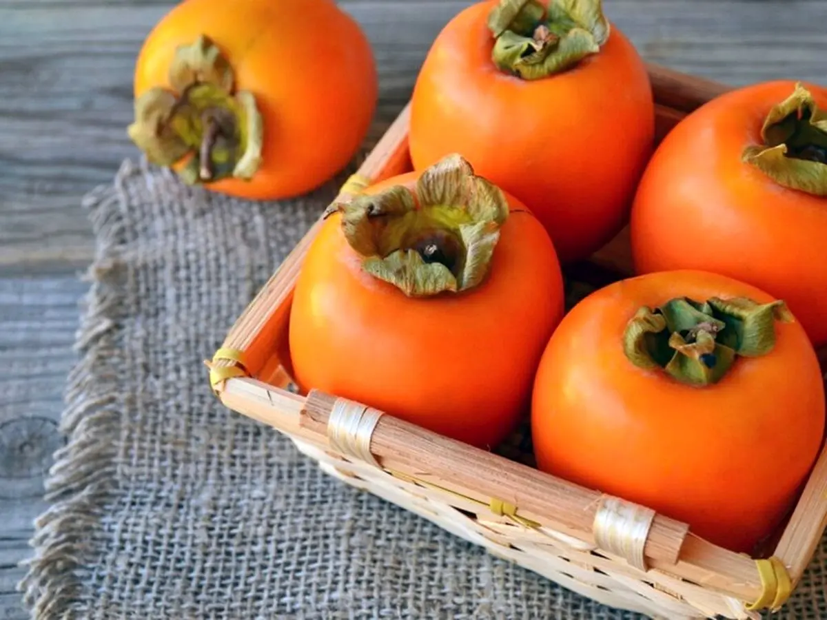 دکتر پارسا فاش کرد: چرا انسداد روده می‌تواند زندگی‌تان را تهدید کند؟